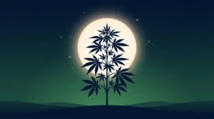 Cannabis plant silhouette moon